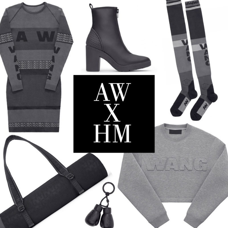 ALEXANDER WANG X &M OUTFIT