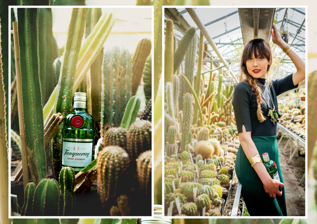 tanqueray collab